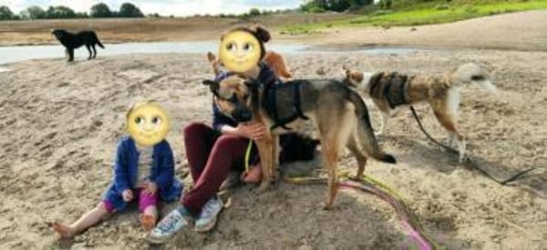 MORRYS * anhänglicher Familienhund