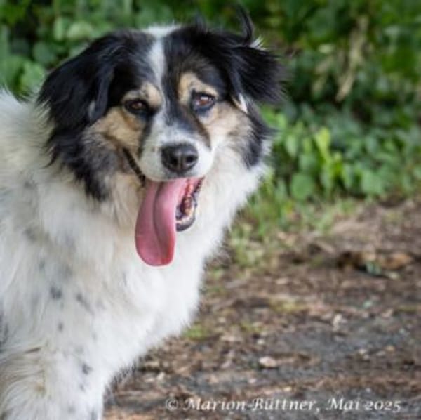 Axton liebt es zu kuscheln