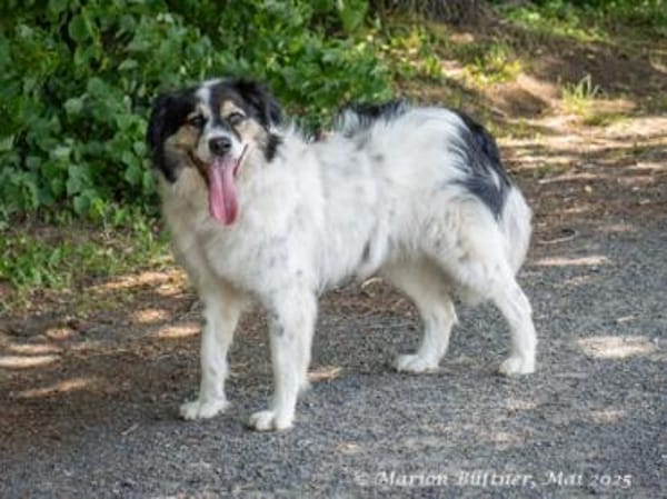 Axton liebt es zu kuscheln