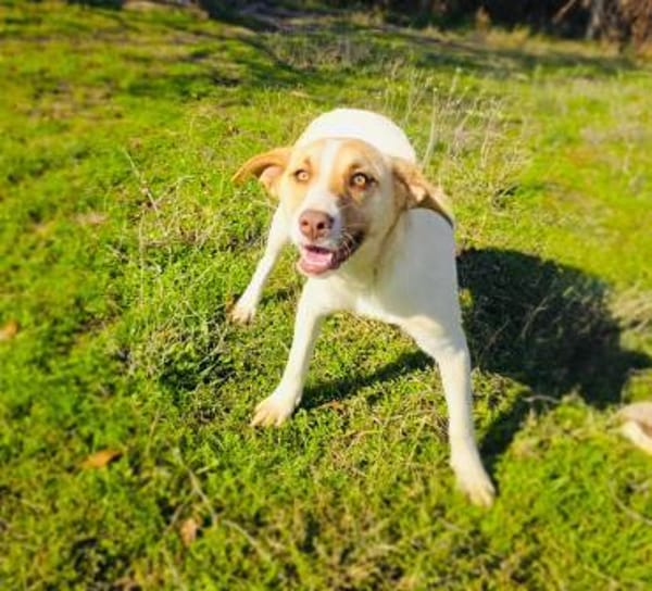 Leonie einfach nur lieb