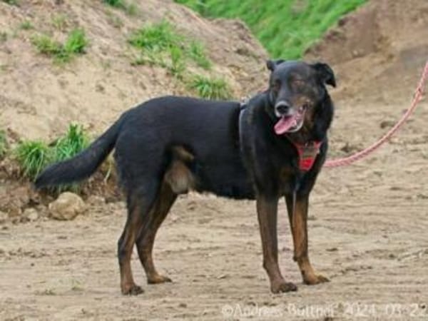 Moon ist ein richtiger Schatz