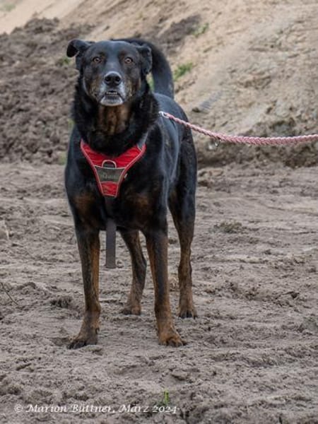 Moon ist ein richtiger Schatz