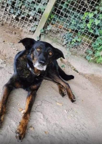 Moon ist ein richtiger Schatz