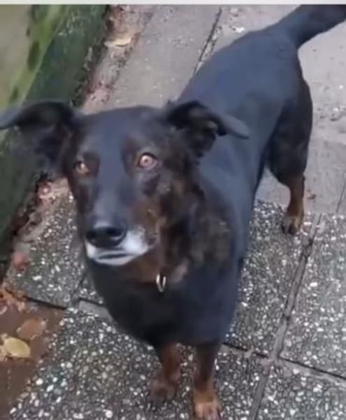 Moon ist ein richtiger Schatz