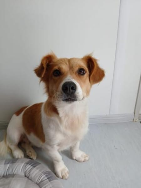 ❤ zuckersüsse Nellie❤