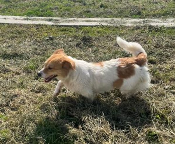 ❤ zuckersüsse Nellie❤