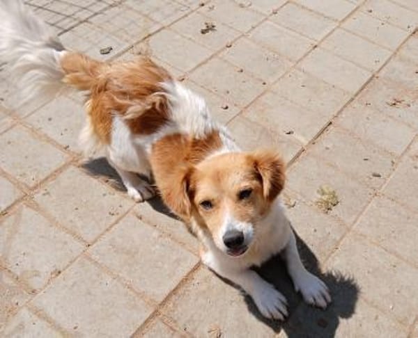 ❤ zuckersüsse Nellie❤