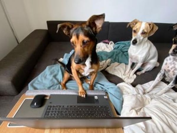 Ernie wartet und wartet.........