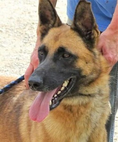 IKE möchte die Welt erkunden