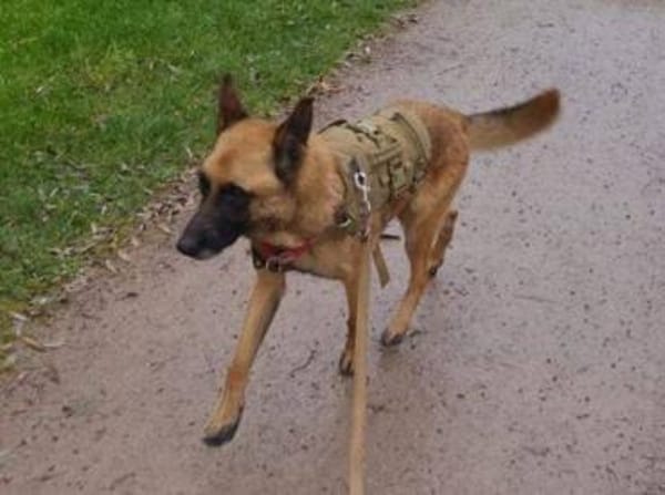 IKE möchte die Welt erkunden