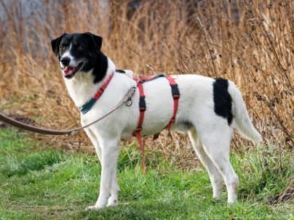 Elliot ist sensibel und unsicher