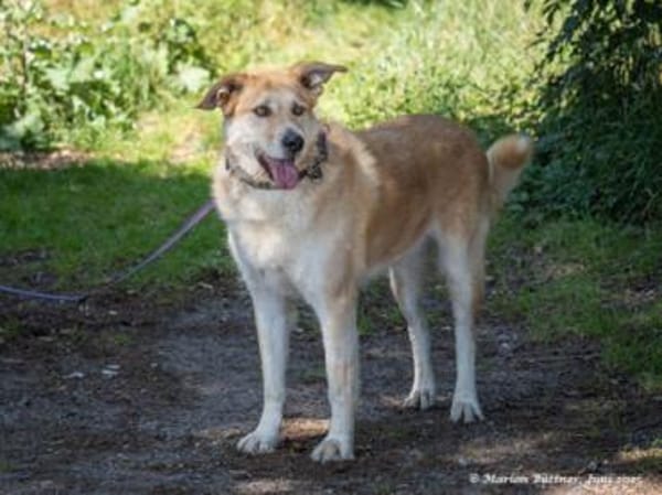 Konan mag Menschen unglaublich gerne