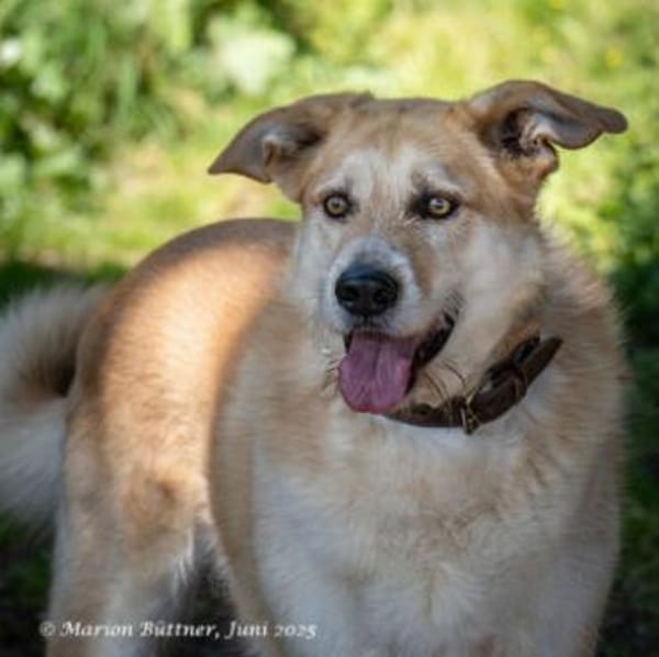 Konan mag Menschen unglaublich gerne