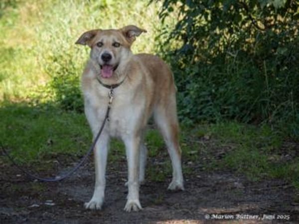 Konan mag Menschen unglaublich gerne