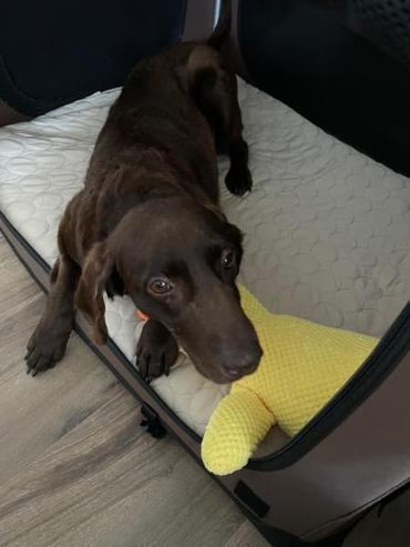 Yuna - mit einem Herz aus Gold