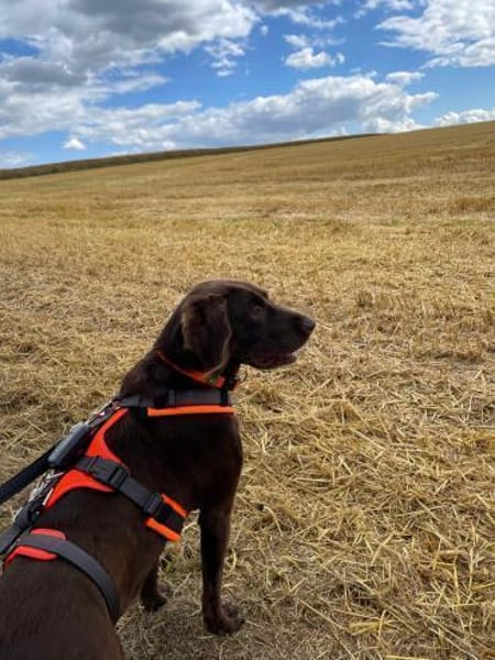 Yuna - mit einem Herz aus Gold