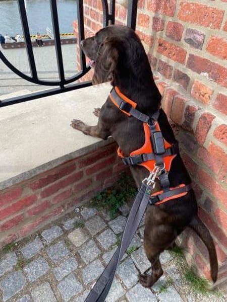 Yuna - mit einem Herz aus Gold