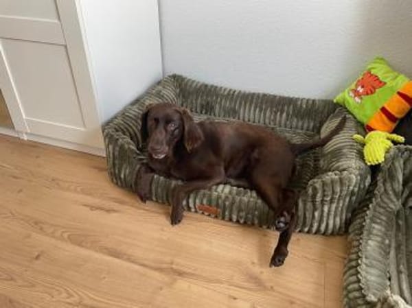 Yuna - mit einem Herz aus Gold