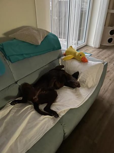 Yuna - mit einem Herz aus Gold