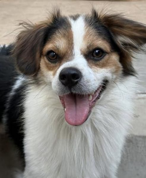 Kiko der CouchPotatoe