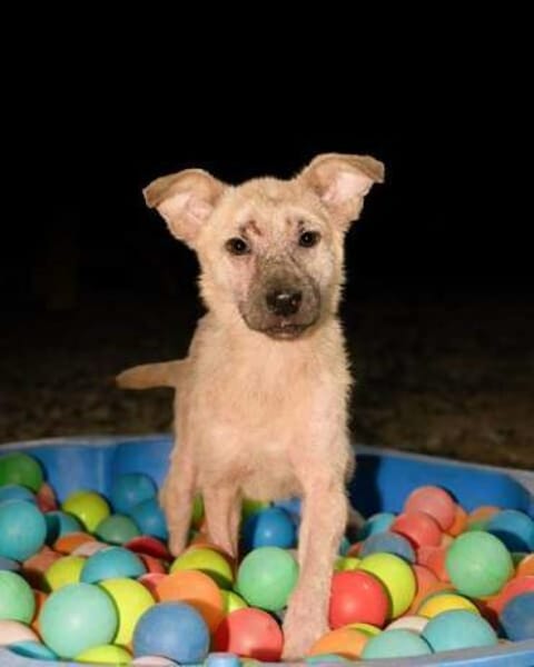 VIDA * sanftes Seelchen möchte ankommen