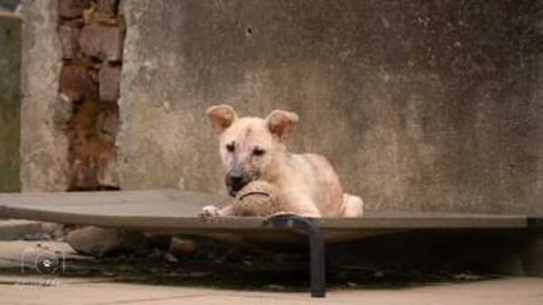 VIDA * sanftes Seelchen möchte ankommen