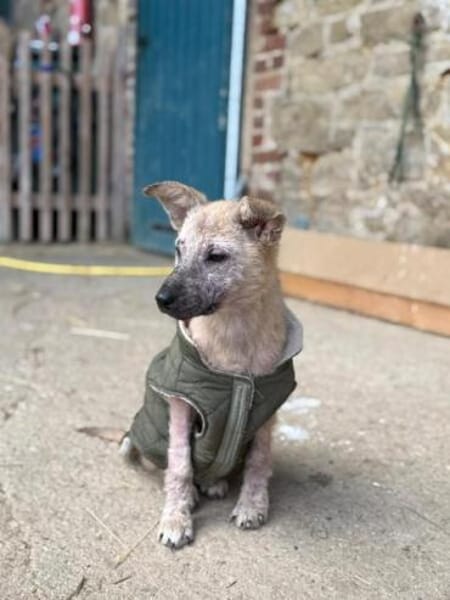 VIDA * sanftes Seelchen möchte ankommen