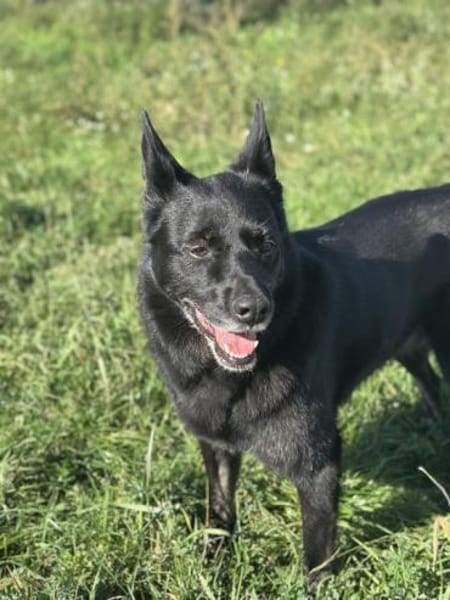 Bagiras Frauchen ist schwer krank