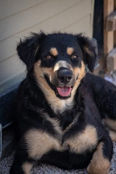 süße Mara sucht ihre Familie