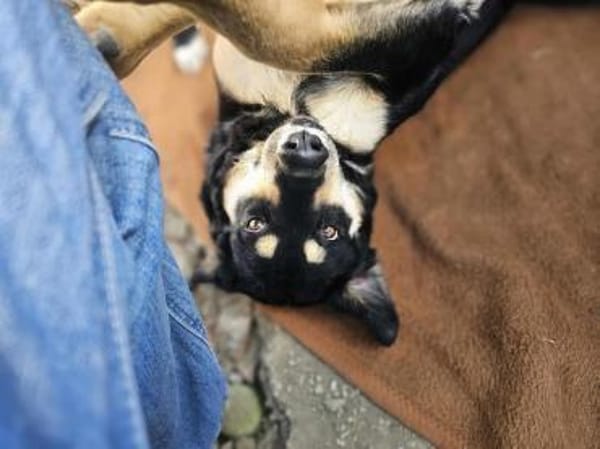 süße Mara sucht ihre Familie