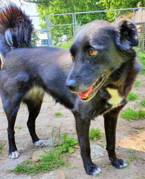 Malina (auf PS in 24601 Ruhwinkel)