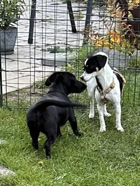 Süße Gianna sucht ihr Glück