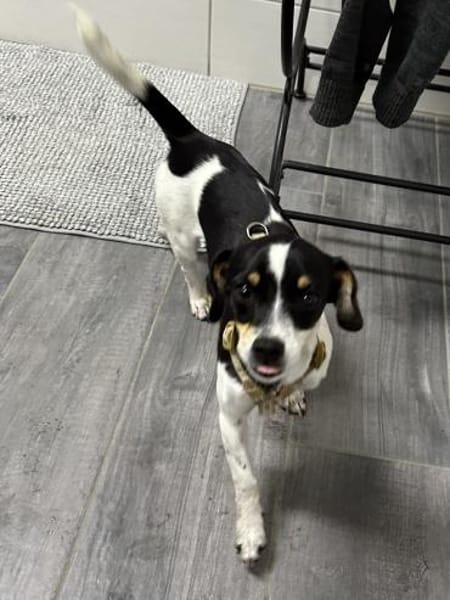 Süße Gianna sucht ihr Glück