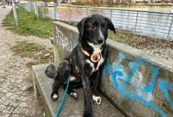 Scotty wünscht sich so sehr eine Familie