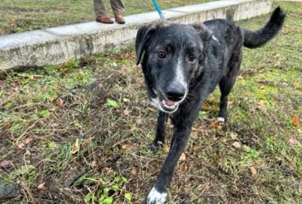 Scotty wünscht sich so sehr eine Familie