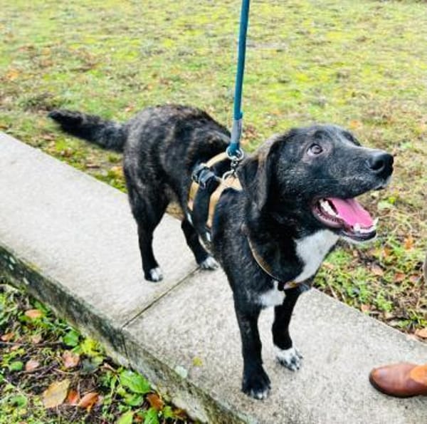 Scotty wünscht sich so sehr eine Familie