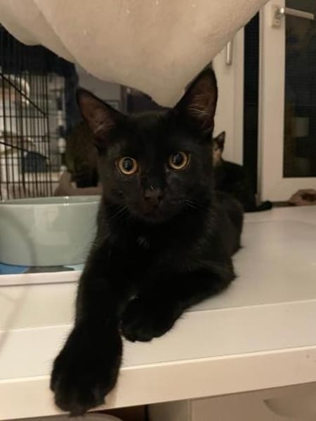 unsere Ts - Toni(w),Theo(m),Tilda(w)