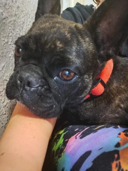 Frieda sucht ihre Familie