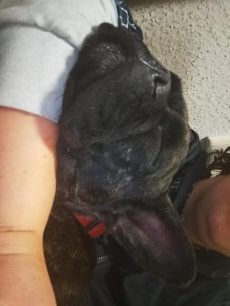 Frieda sucht ihre Familie