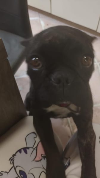 Frieda sucht ihre Familie