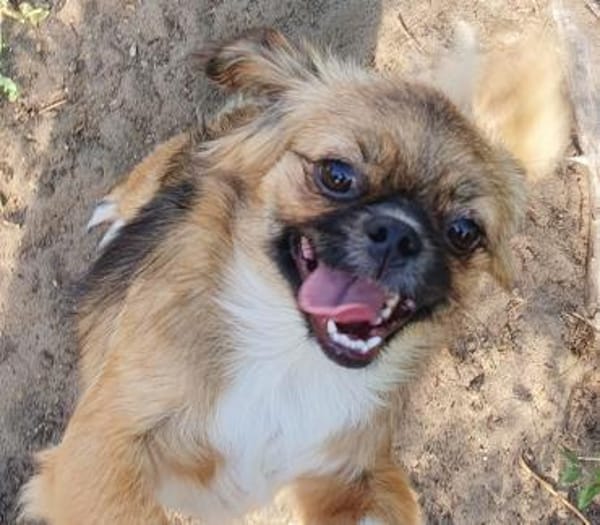 Szofi° in 61194 Niddatal **Anfragestopp*