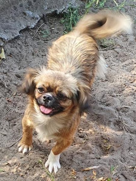 Szofi° in 61194 Niddatal **Anfragestopp*