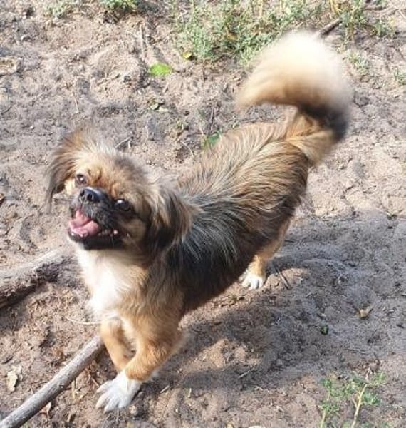 Szofi° in 61194 Niddatal **Anfragestopp*