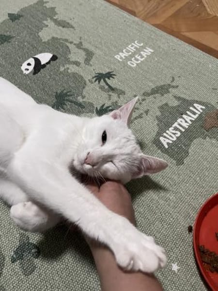 Tuffie - weiß wie Zuckerwatte