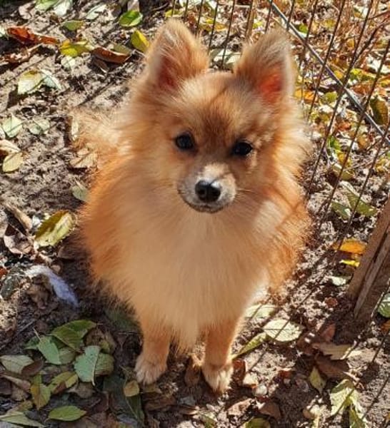 Lidia° in 86529 Schrobenhausen