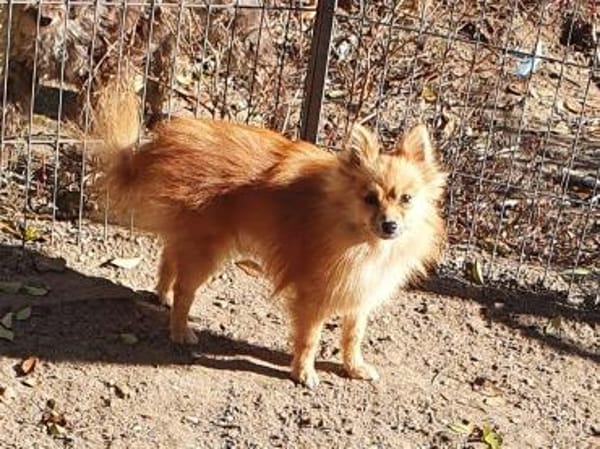 Lidia° in 86529 Schrobenhausen