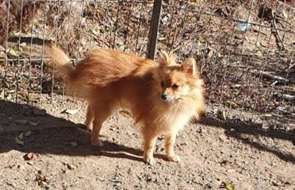 Lidia° in 86529 Schrobenhausen