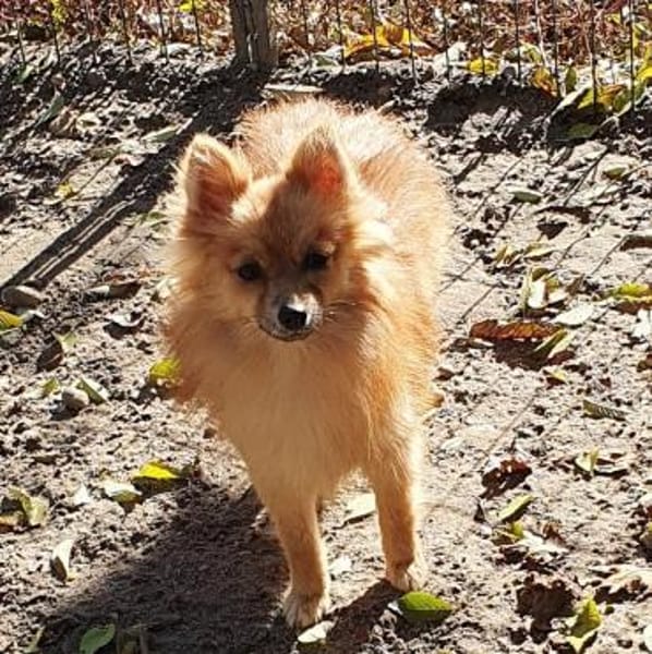 Lidia° in 86529 Schrobenhausen