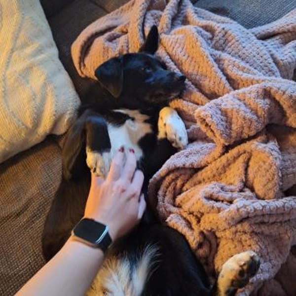 Schüchterne Penny sucht tolles zu Hause