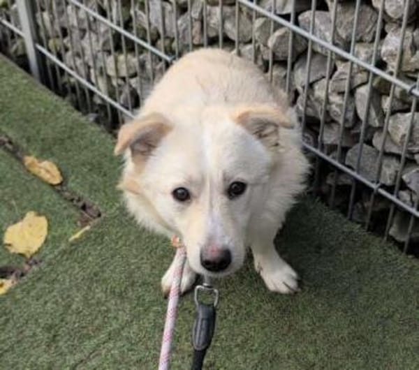 Filu, der kleine Eisbär 🐾